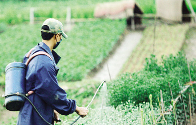Nhu cầu thuốc bảo vệ thực vật của Trung Quốc sẽ giảm nhẹ trong năm 2014