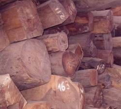 Giám sát chặt hoạt động xuất nhập khẩu gỗ
