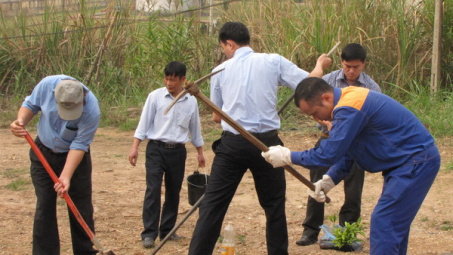 Petrolimex Lào Cai: Mỗi người một tay, sẽ thành rừng cây