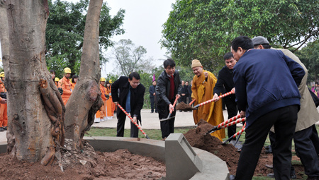 EVN HANOI tổ chức Tết trồng cây 2014