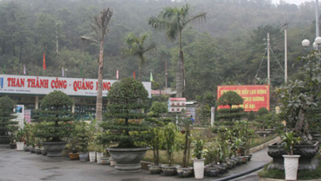 Công ty Than Hòn Gai: Nhiều công trình bảo vệ môi trường