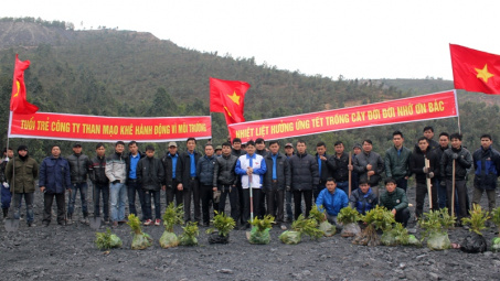 Đoàn TN Than Mạo Khê sôi nổi thực hiện Tết trồng cây
