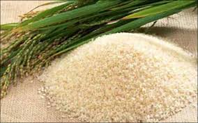 Giá gạo nguyên liệu tăng mạnh
