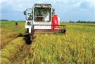 Pháp khuyến khích nông nghiệp hộ gia đình