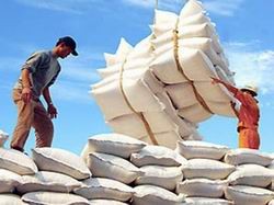 Tăng cường kiểm tra, kiểm soát hoạt động xuất khẩu gạo