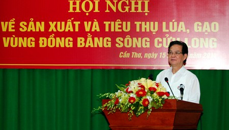 Thủ tướng chỉ đạo tháo gỡ khó khăn cho sản xuất, tiêu thụ lúa gạo