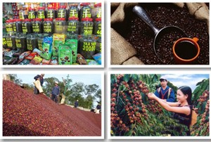 Xây dựng tên tuổi cho cà phê Việt
