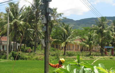 Nỗi đau từ bẫy diệt chuột bằng điện