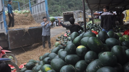 Dưa hấu ùn tắc ở cửa khẩu Tân Thanh: Số lượng tăng đột xuất khiến thông quan không kịp