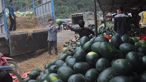 Tìm giải pháp cho thương mại biên giới Việt-Trung