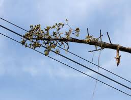 Xử lý một số vi phạm khác của ngành Điện