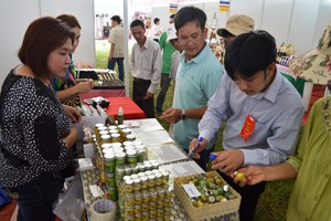 350 DN tham gia Hội chợ Festival Huế