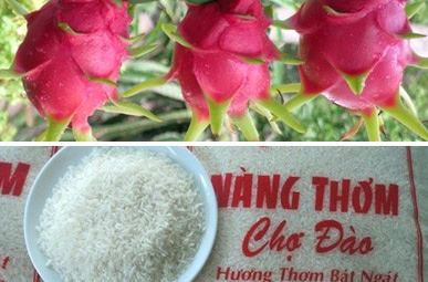 Mỹ cấp chứng nhận bảo hộ 2 nhãn hiệu nông sản Việt Nam