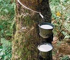 Đặc tính kỹ thuật sản phẩm cao su