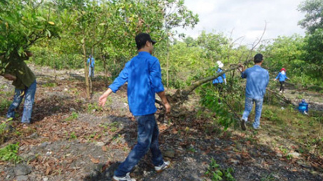 Công ty than Hà Tu triển khai nhiều công trình bảo vệ môi trường