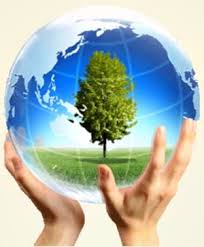 Quy định chặt chẽ cơ chế bảo vệ môi trường