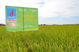 PVFCCo lần thứ 2 liên tiếp nằm trong  danh sách 50 công ty niêm yết tốt nhất do Forbes Vietnam bình chọn