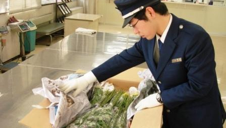 Thủ tục nhập khẩu theo luật vệ sinh thực phẩm của Nhật Bản