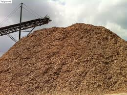 Xuất khẩu dăm, gỗ Thanh Hóa: Ghi nhận từ một doanh nghiệp tư nhân