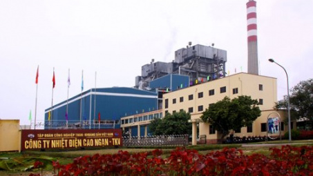 Tổng Công ty Điện lực hoàn thành trên 60% kế hoạch năm