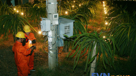 Tổng công ty Điện lực miền Nam: Thực hiện nhiều chương trình tiết kiệm điện, giảm ô nhiễm môi trường 