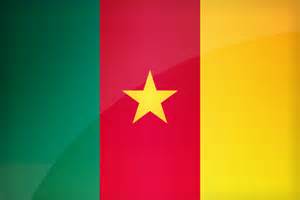 Hợp tác kinh tế, thương mại Việt Nam - Cameroon 6 tháng đầu năm