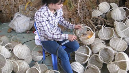 Hiệu quả từ các lớp tập huấn