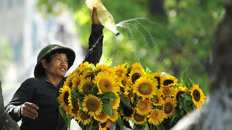Bâng khuâng với những màu hoa đặc trưng tháng Bảy