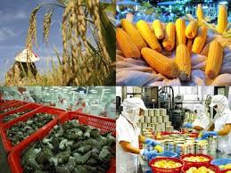 Cùng Nhật Bản giải bài toán đầu ra cho nông sản