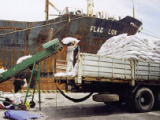 Nhập khẩu phân bón giảm mạnh