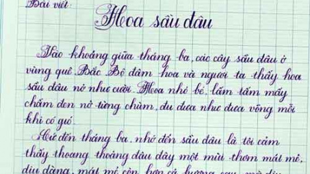 Truyền nhân cuối cùng của nghề viết bằng khen