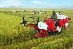Phê duyệt Kế hoạch phát triển ngành công nghiệp máy nông nghiệp