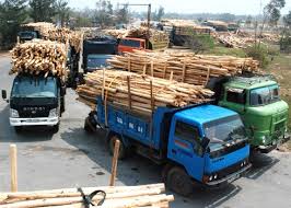Xuất khẩu gỗ ở Quảng Ngãi khởi sắc trở lại