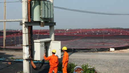 Triển khai dự án đường dây 220kV nhiệt điện Duyên Hải-Mỏ Cày