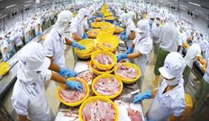 Xuất khẩu sang Mỹ: Vững luật thì không thiệt