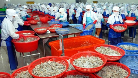 Kim ngạch xuất khẩu nông, lâm, thủy sản đạt hơn 20 tỷ USD