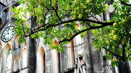 Bồi hồi những sắc hoa thu