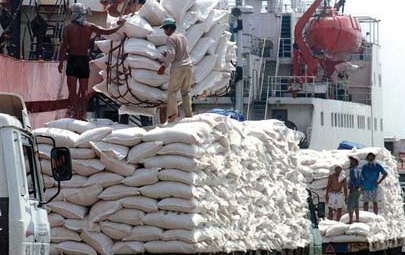 Tổng hợp tin thị trường gạo quốc tế ngày 8/9