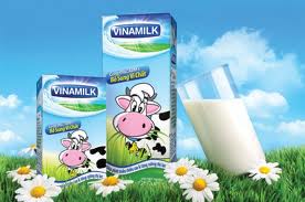Vingroup và Vinamilk vào Top 100 DN lớn nhất ASEAN