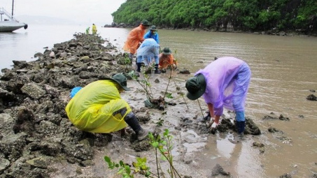 Sử dụng 3.000 tỷ đồng vốn vay ODA để ứng phó với biến đổi khí hậu