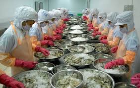 VASEP gửi kháng kiện lên tòa án Mỹ