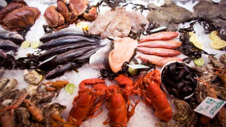 Australia: Thị trường xuất khẩu tiềm năng của Việt Nam