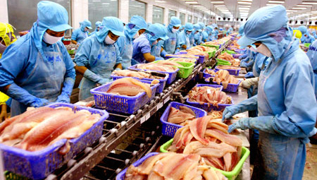 Từ 1/9/2014: Xuất khẩu cá nuôi vào UAE cần tuân thủ việc sử dụng thức ăn chứa Protein theo quy định