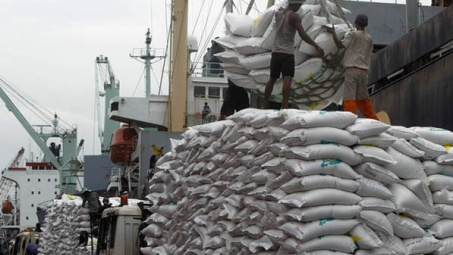 FAO: Dự báo Philippines sẽ nhập khẩu 1,8 triệu tấn gạo trong năm 2014
