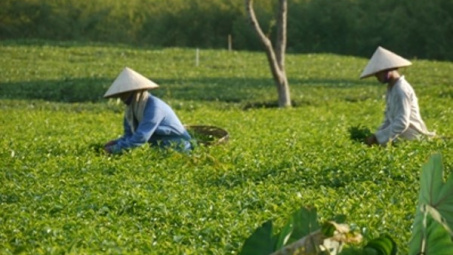 AFD hỗ trợ những khoản mới giúp Việt Nam xóa đói giảm nghèo