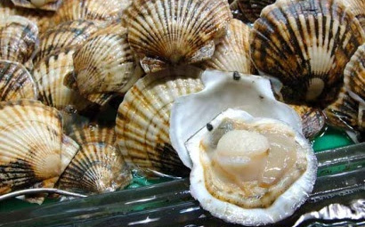  EU khuyến nghị Việt Nam ngừng xuất khẩu một số sản phẩm nhuyễn thể hai mảnh vỏ
