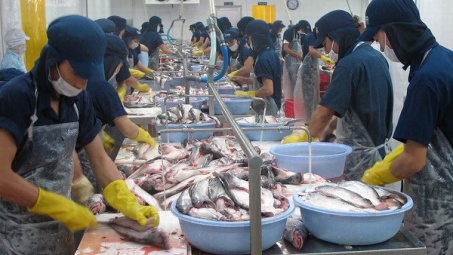 Sản lượng xuất khẩu cá tra của Việt Nam đang tăng trở lại