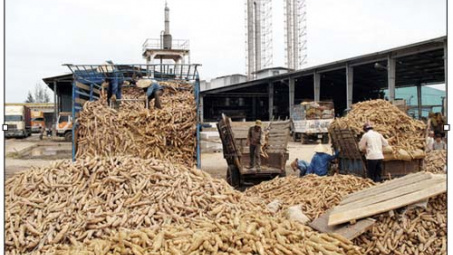 Tây Ninh: Không bảo đảm về môi trường, 44 cơ sở bị tạm ngưng hoạt động 