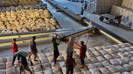 Xuất khẩu gạo chất lượng cao tại các tỉnh ĐBSCL tăng mạnh