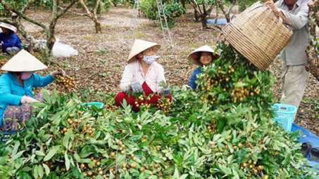 Nhãn Việt Nam chính thức được cấp mã số vào thị trường Mỹ